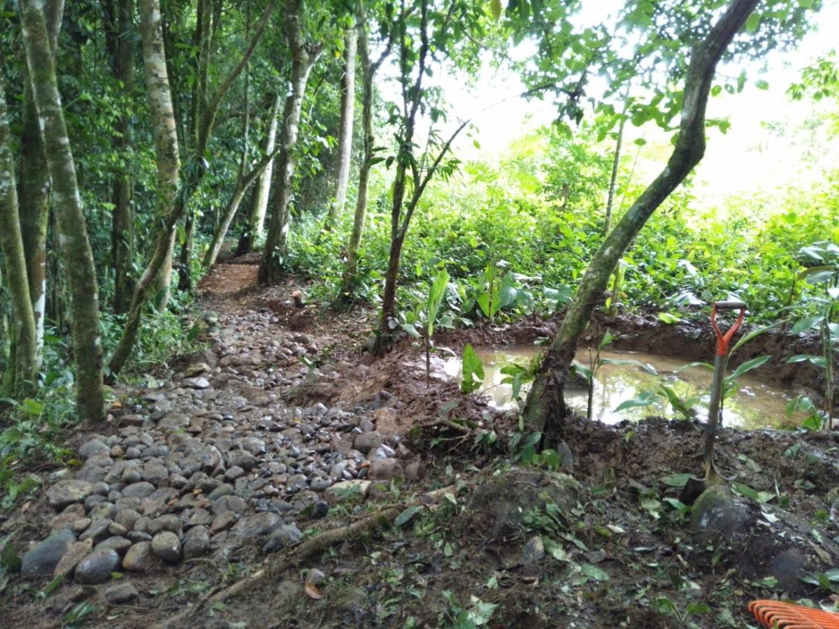 الشقق الفندقية La Pina, Rio Celeste المظهر الخارجي الصورة